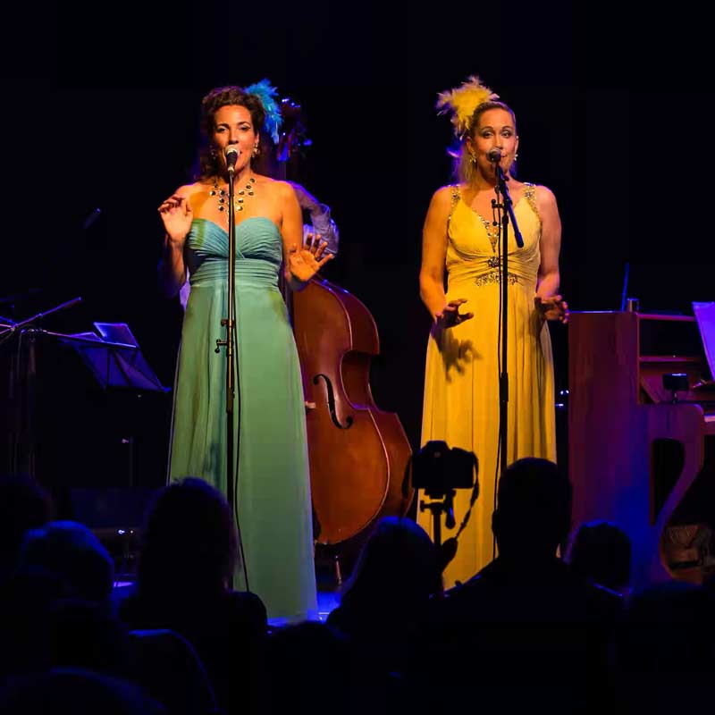 Skweedly-Deedly – Concert
